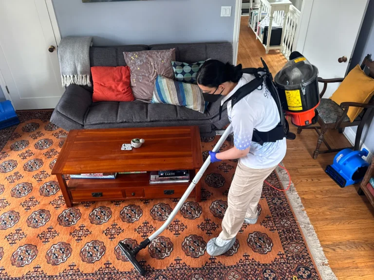 Sygora cleaner vacuuming an area rug in a living room.