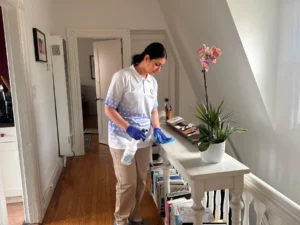 Sygora cleaner wiping a hallway console table.