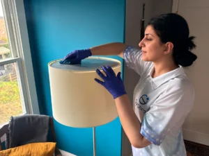 Sygora cleaner wiping a floor lamp shade.