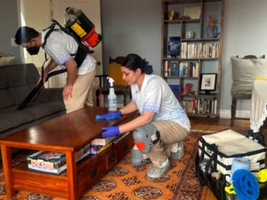 Two Sygora cleaners vacuuming a sofa and wiping a coffee table.